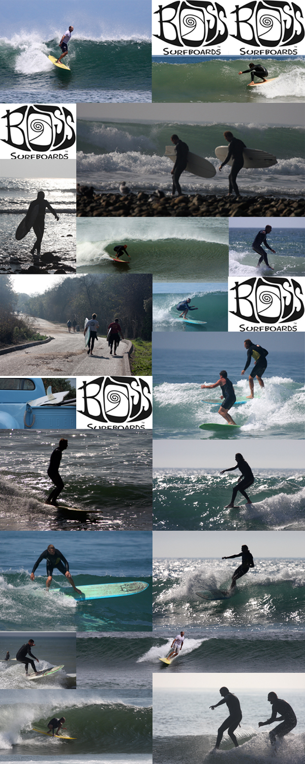 the photos